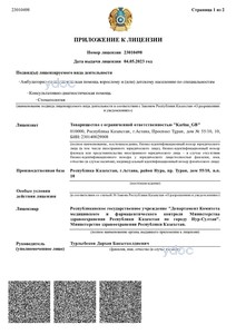 Лицензияға қосымша