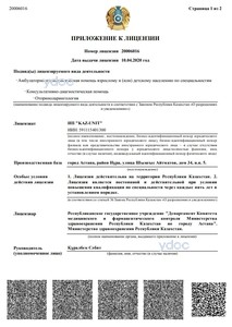 Лицензияға қосымша Лицензияға қосымша