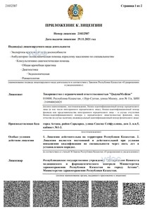 Приложение к лицензии