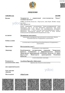 Лицензия Лицензия