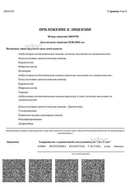 Лицензия Лицензия