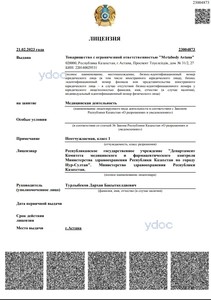 Лицензия Лицензия