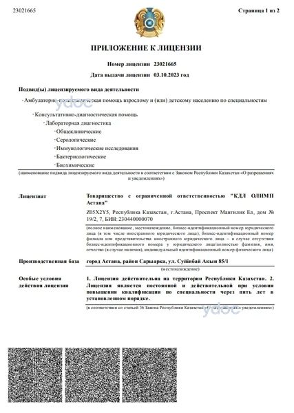 Лицензия Лицензия