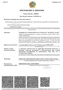 Приложение к лицензии