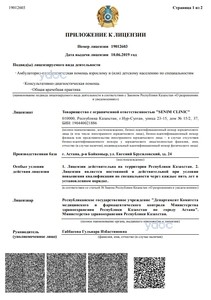 Приложение к лицензии