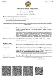 Приложение к лицензии