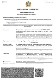 Приложение к лицензии