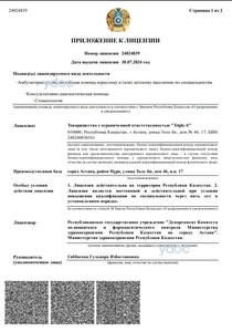 Лицензия Лицензия