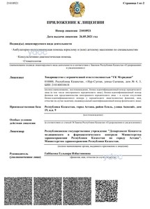 Лицензияға қосымша