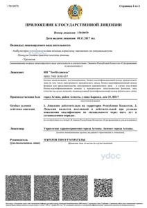 Лицензия Лицензия