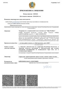 Лицензия