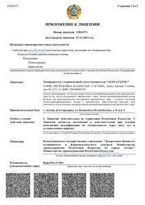 Лицензия Лицензия