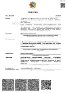 Лицензия Лицензия