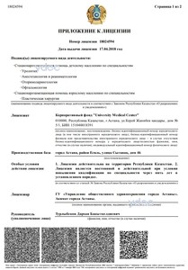 Лицензия Лицензия