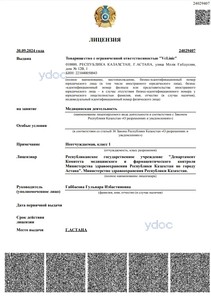 Лицензия Лицензия