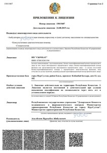 Лицензия Лицензия