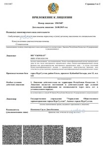 Лицензия Лицензия