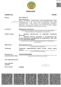 Лицензия Лицензия