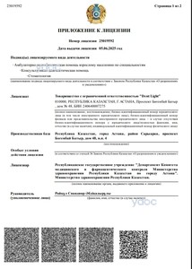 Лицензия Лицензия