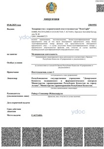 Лицензия Лицензия