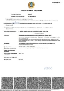 Лицензия Лицензия