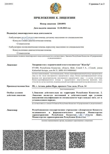 Лицензия Лицензия