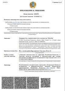 Лицензия Лицензия