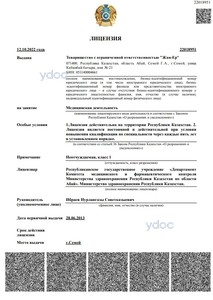 Лицензия Лицензия