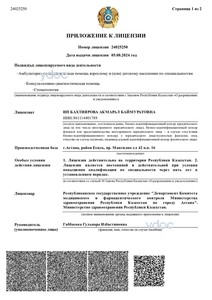 Приложение к лицензии