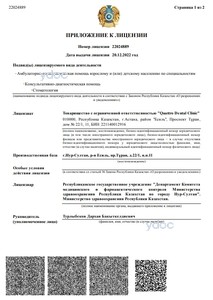 Лицензия Лицензия