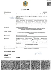 Лицензия Лицензия