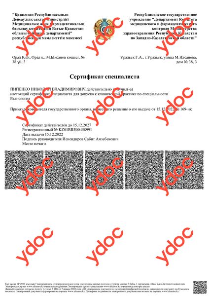 Құжаттар мен фотосуреттер - Пипенко Н. В.