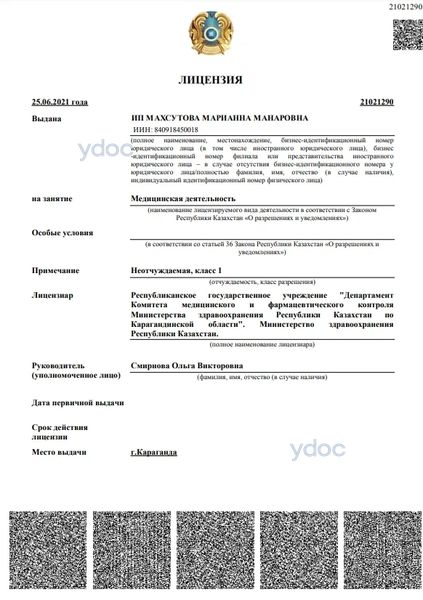 Лицензия Лицензия