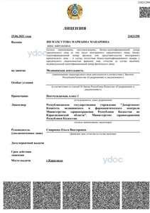 Лицензия Лицензия