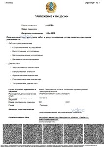 Приложение к лицензии Приложение к лицензии