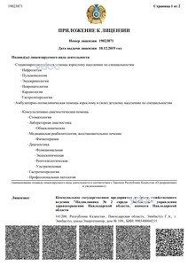 Приложение к лицензии