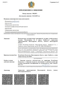 Приложение к лицензии