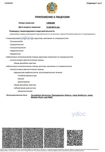 Приложение к лицензии