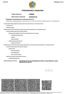 Приложение к лицензии