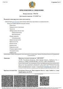 Приложение к лицензии