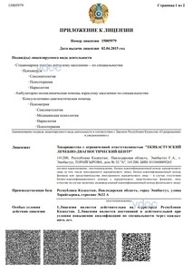 Приложение к лицензии