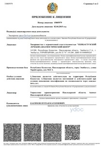 Приложение к лицензии