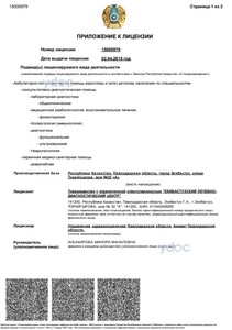 Приложение к лицензии