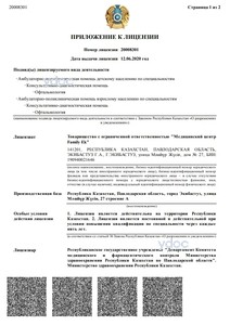 Приложение к лицензии