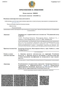 Приложение к лицензии