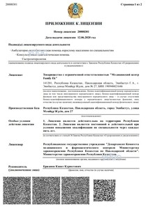 Приложение к лицензии