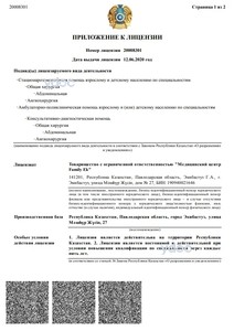 Приложение к лицензии