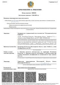 Приложение к лицензии