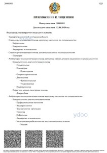 Приложение к лицензии