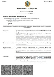 Приложение к лицензии